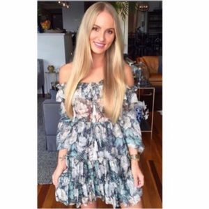 NWOT Zimmermann Bowerbird Frill Dress
